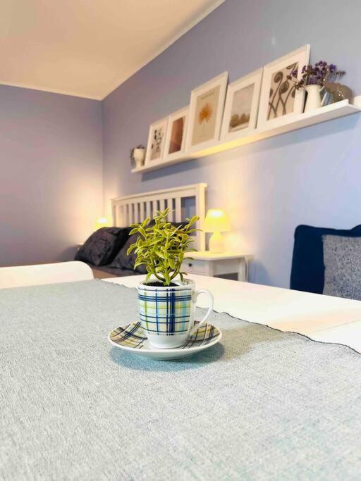Cozy, Newly Renovated Apartment In Gavrio. 外观 照片